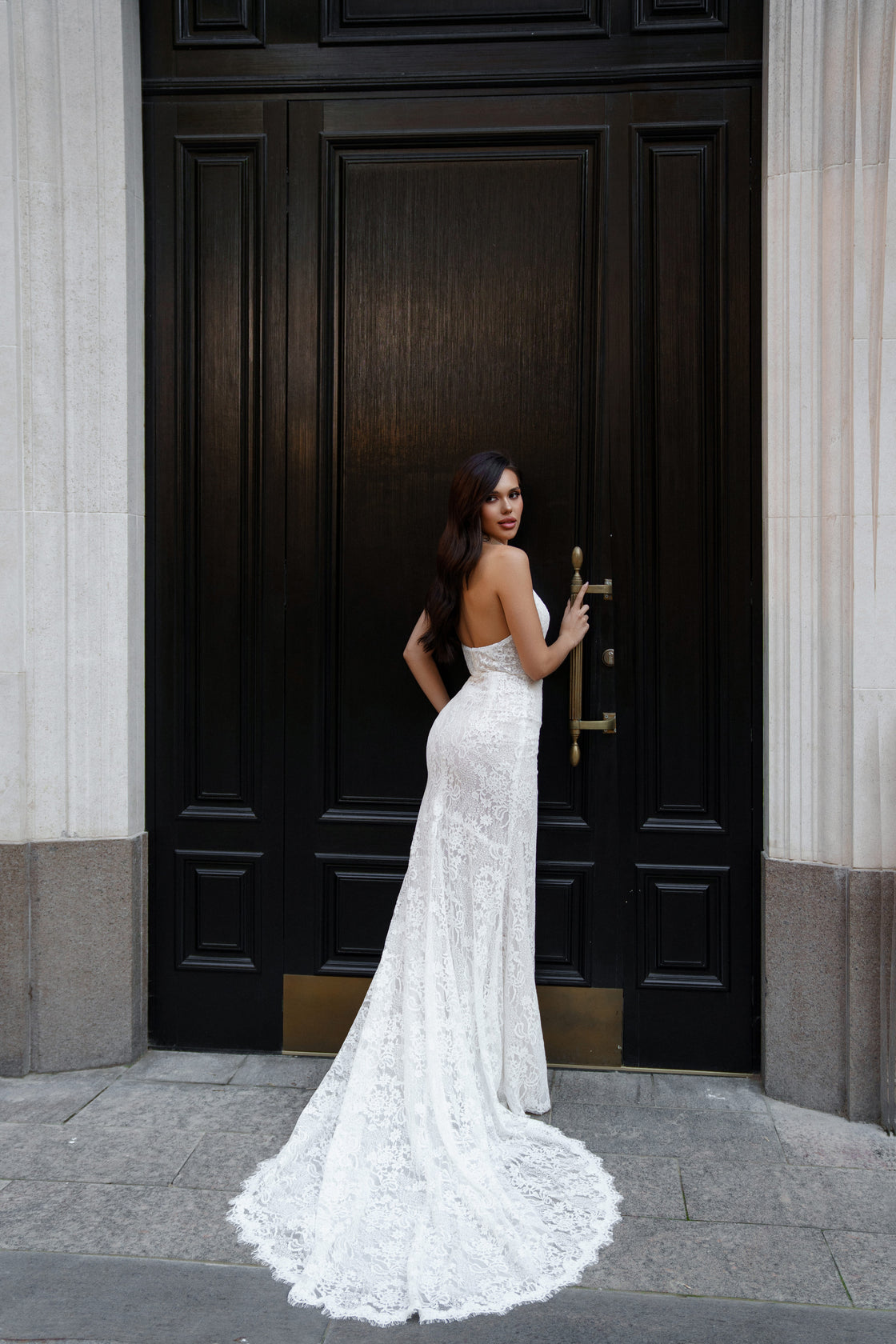 Sculpted Lace Silhouette Dress