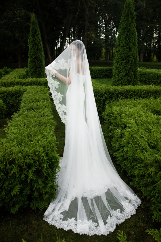 Mermaid lace trumpet gown